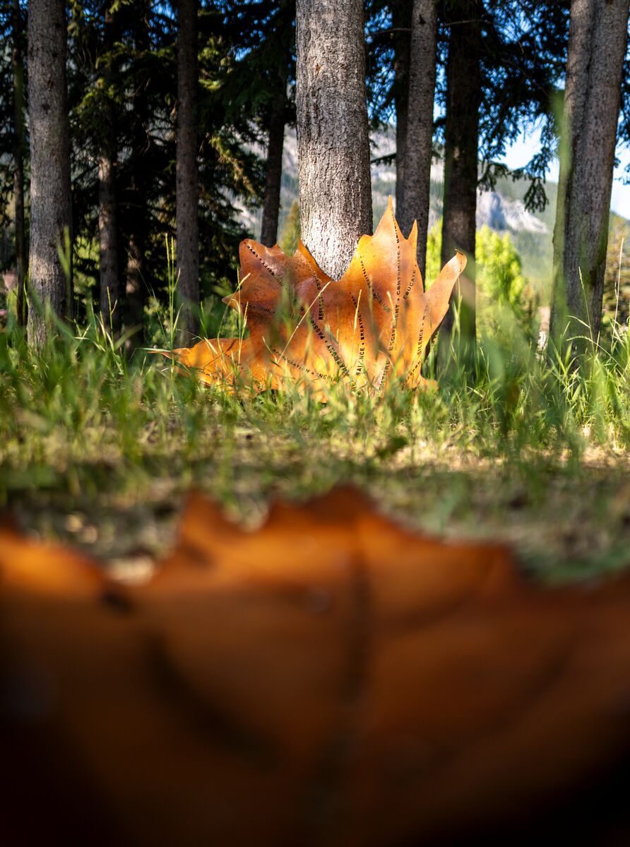 An art piece at the Art in Nature Trail in Banff National Park.